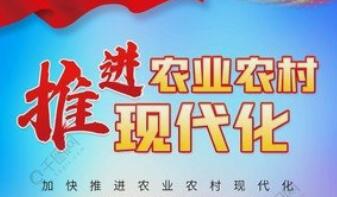 山东省人民政府  关于印发山东省“十四五”推进农业农村  现代化规划的通知 鲁政发〔2021〕21号