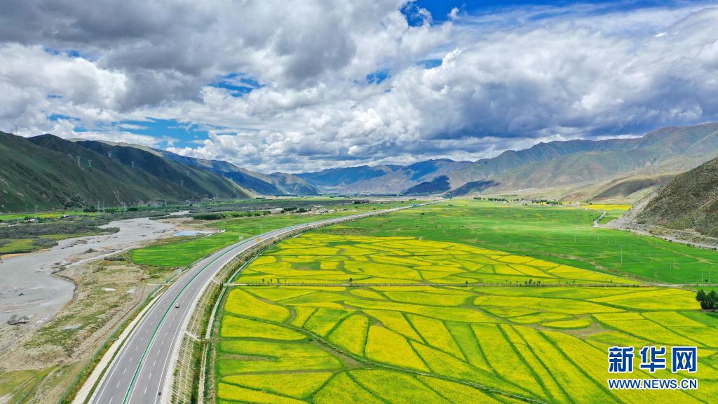 心手相牵，共筑雪域高原中国梦——以习近平同志为核心的党中央关心西藏发展纪实